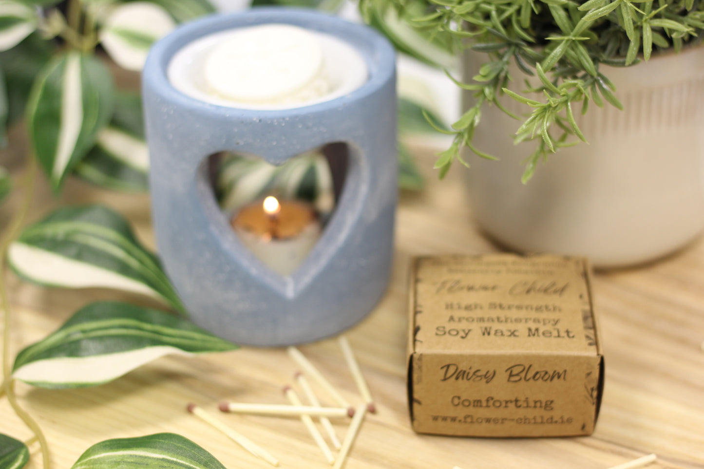 Daisy Bloom | Mountain Daisy and Gardenia Wax Melt Tart
