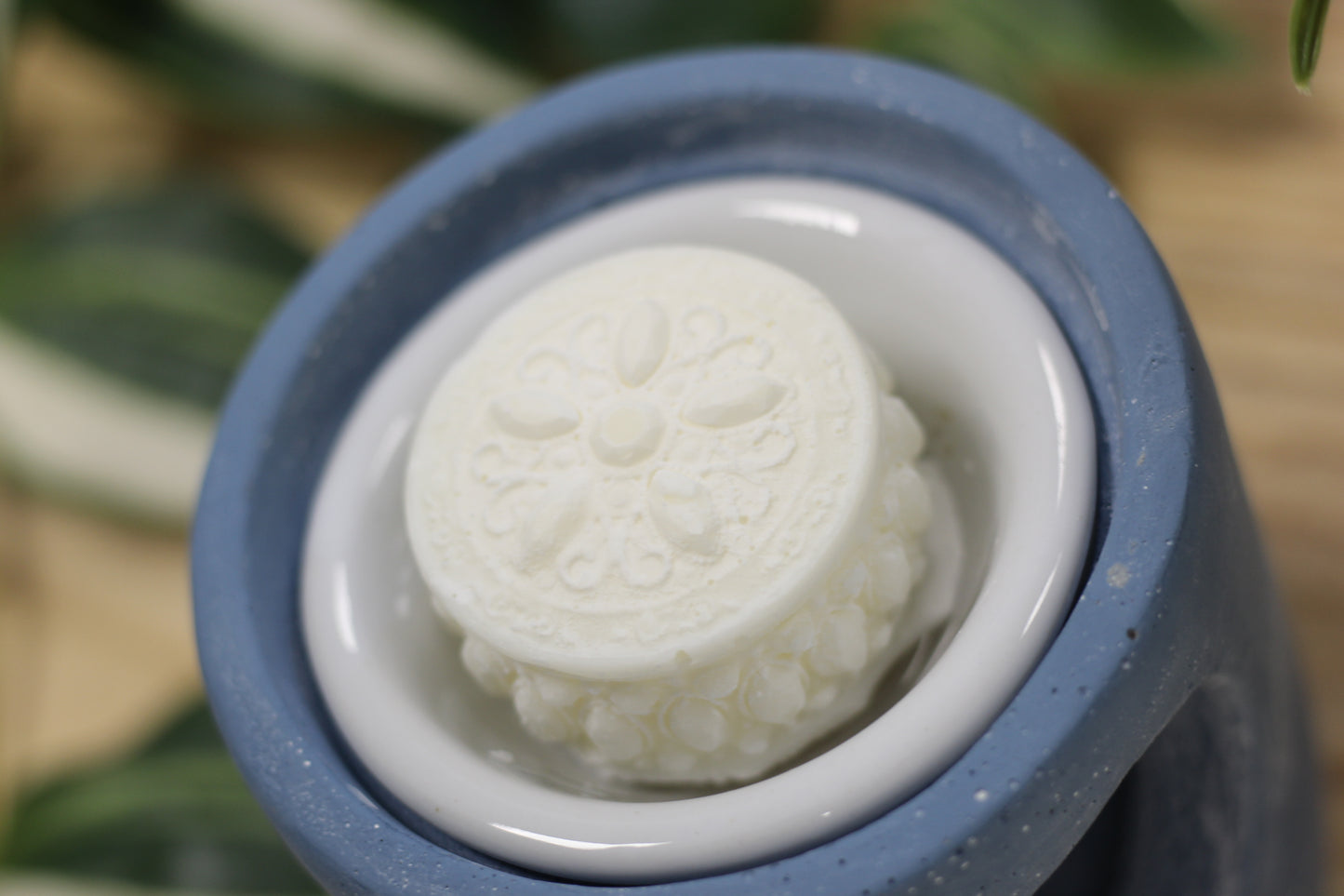 Daisy Bloom | Mountain Daisy and Gardenia Wax Melt Tart