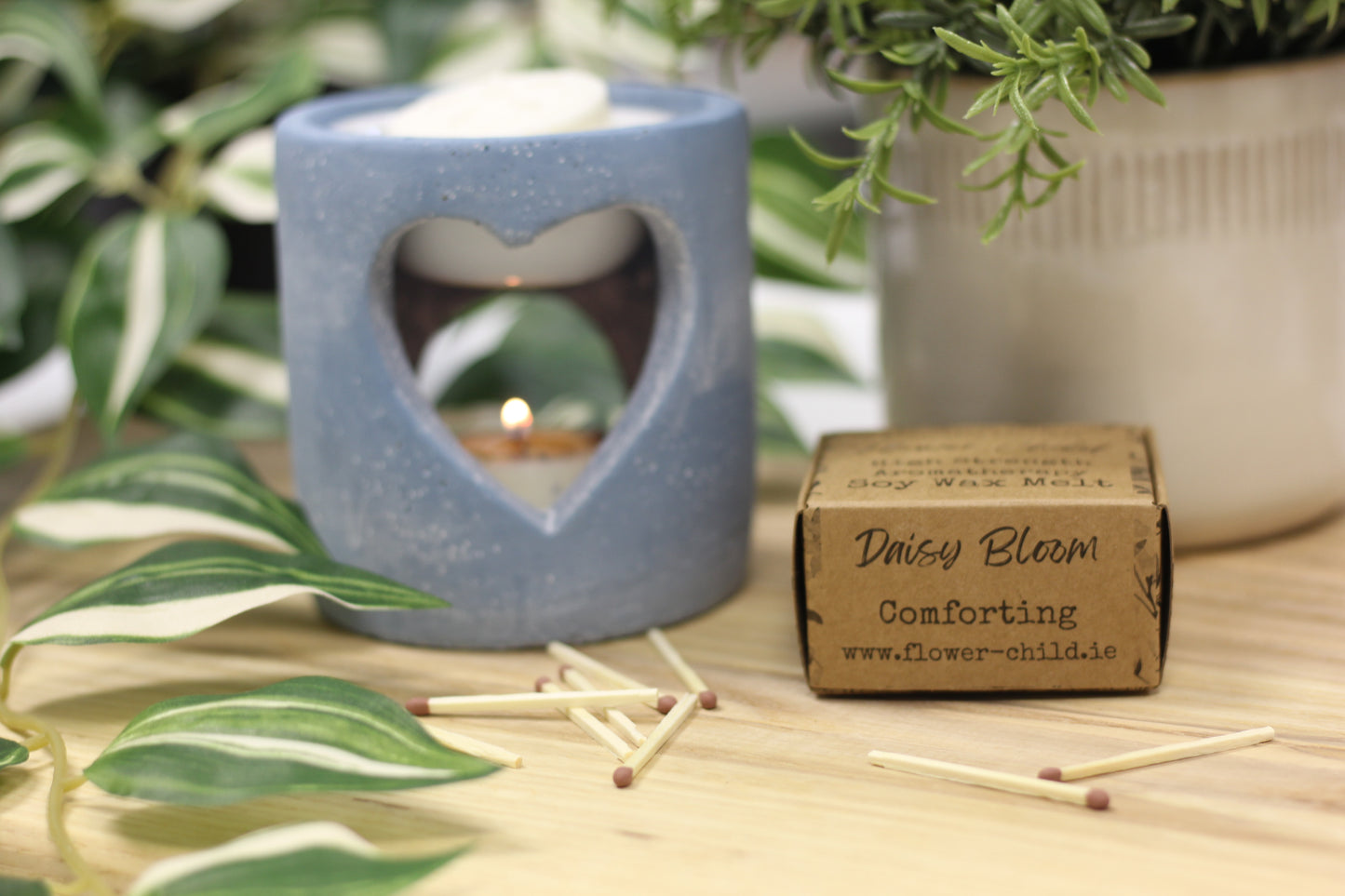 Daisy Bloom | Mountain Daisy and Gardenia Wax Melt Tart