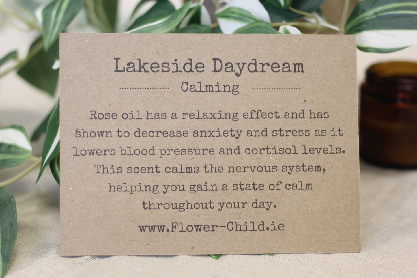 Lakeside Daydream | Rose Blend Duo