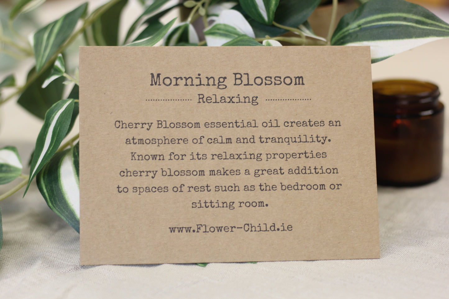 Morning Blossom | Cherry Blossom Duo Box