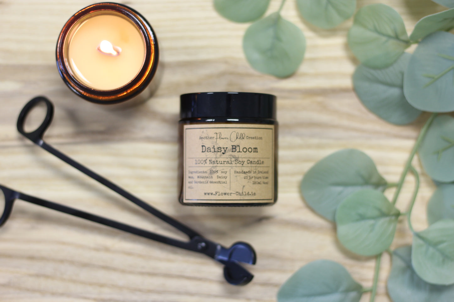 Daisy Bloom | Mountain Daisy and Gardenia Candle