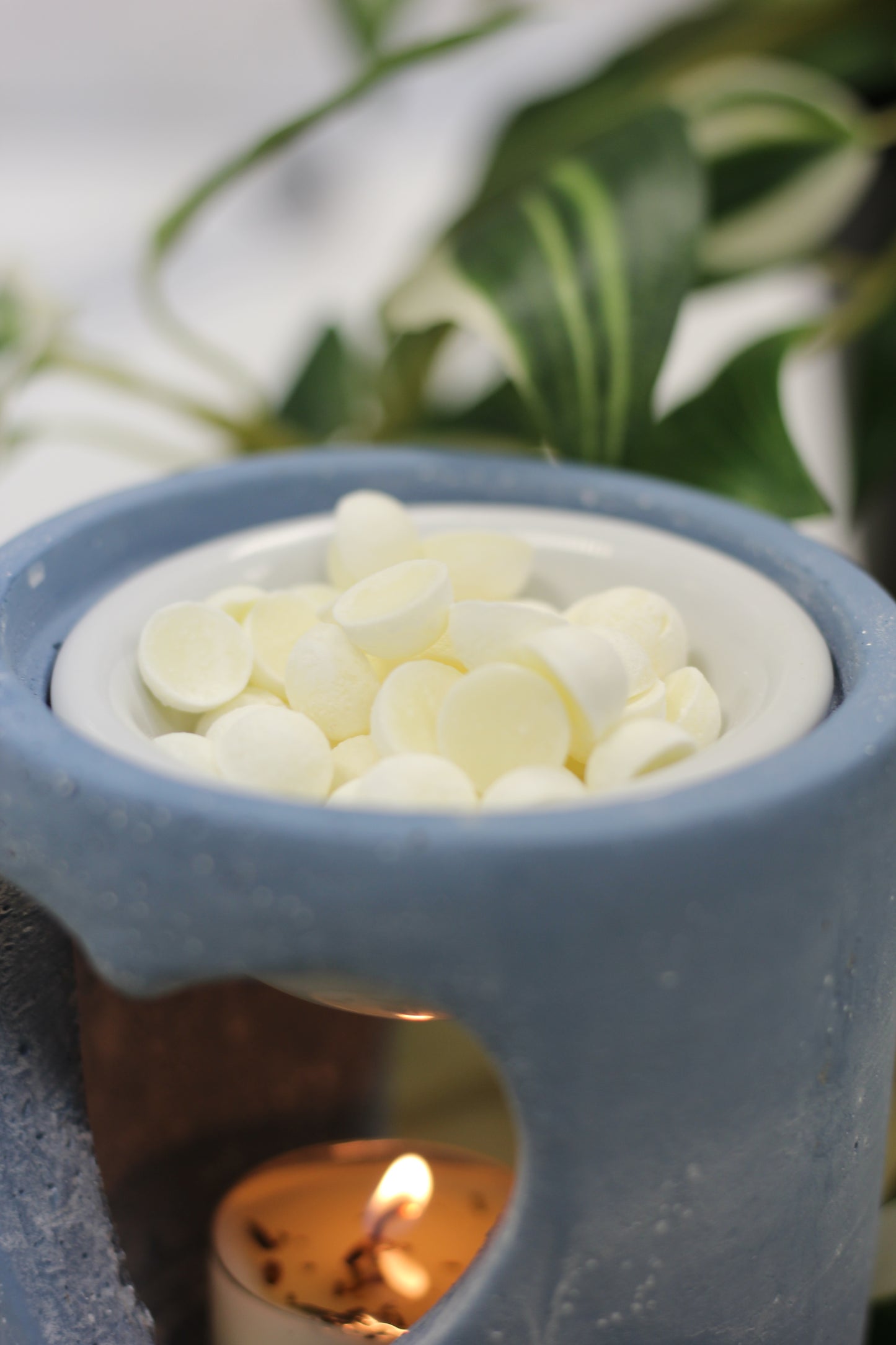 Daisy Bloom | Mountain Daisy and Gardenia Blendable Wax Melt Beads