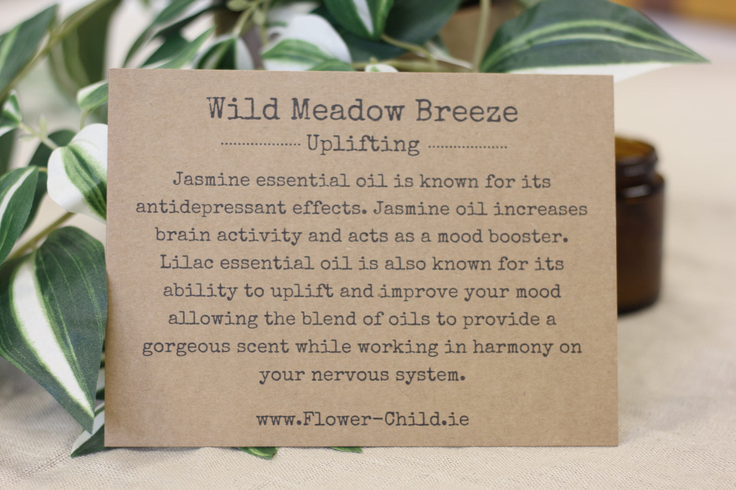 Wild Meadow Breeze | Lilac and Jasmine Duo
