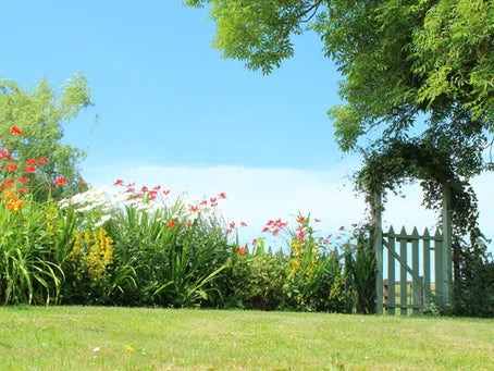 The Cottage Garden - Formerly The Hospital Bed
