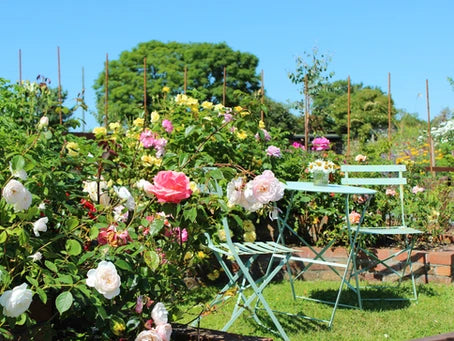 The Rose Garden, Est. 2019