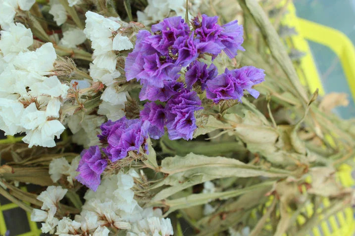 Garden Crafting - Creating Your Own Dried Flowers