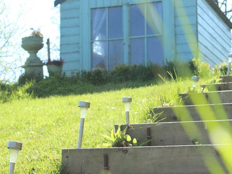 How a Small Idea Became the Lake-house