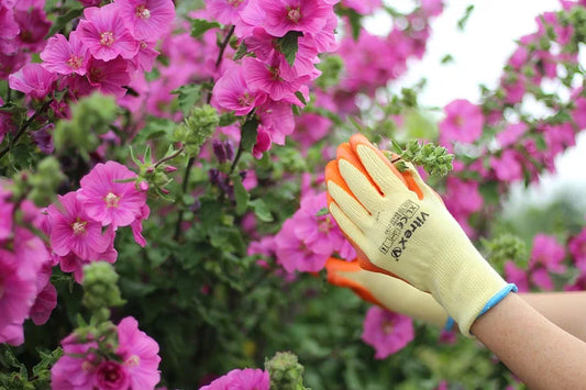 Gardening Gloves Unveiled: My Experience with Different Styles and What Works Best