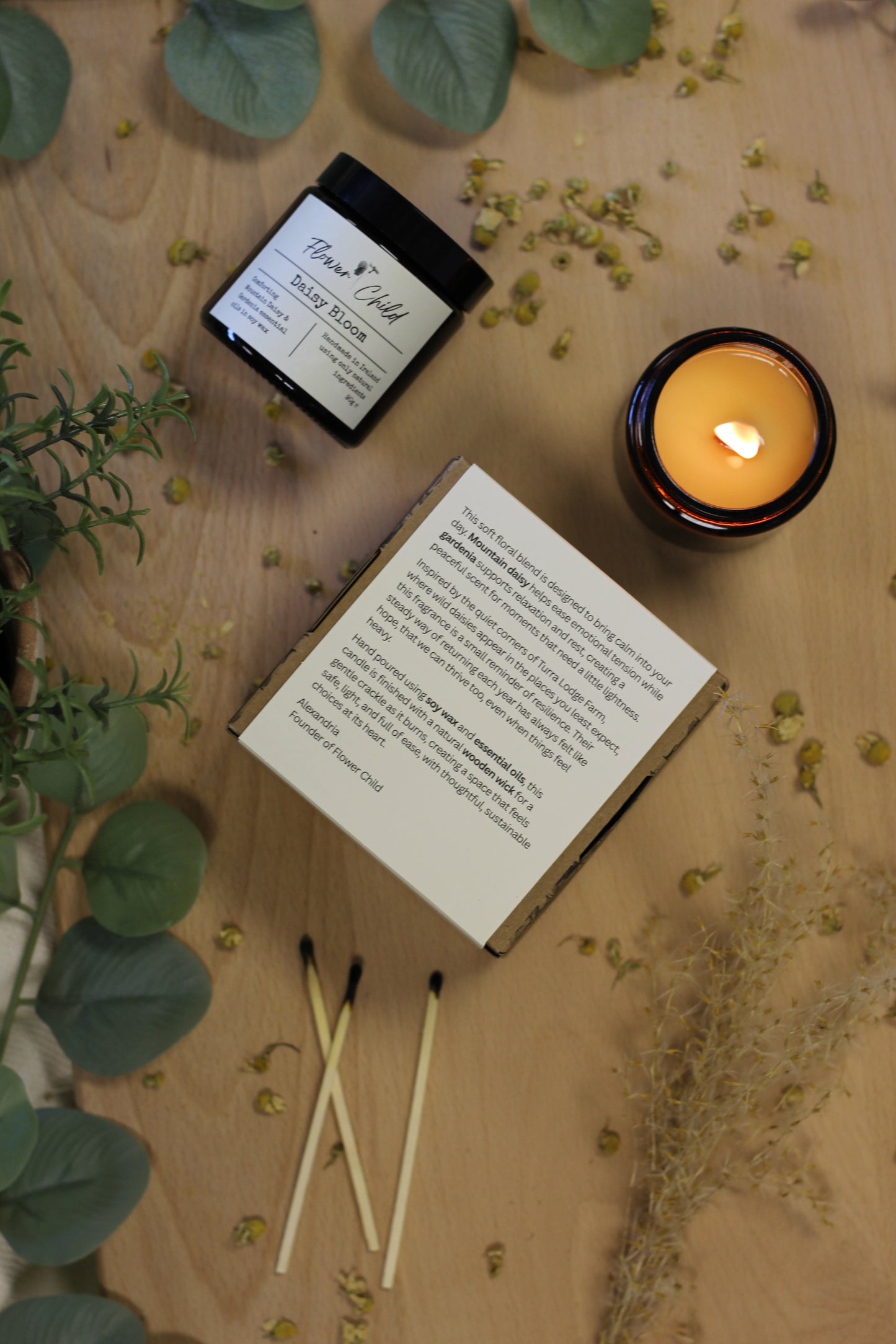 Daisy Bloom | Mountain Daisy and Gardenia Candle